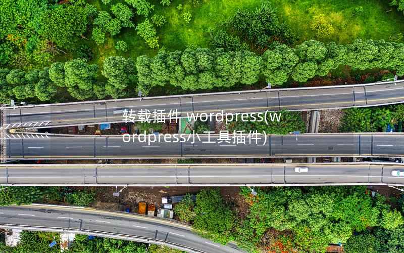 转载插件 wordpress，wordpress小工具插件