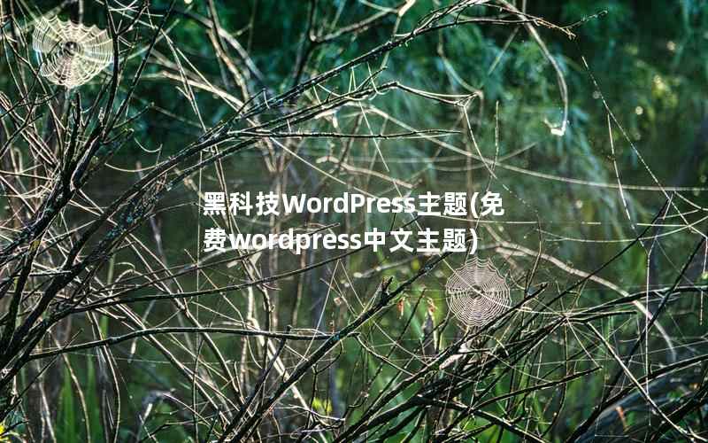 黑科技WordPress主题，免费wordpress中文主题