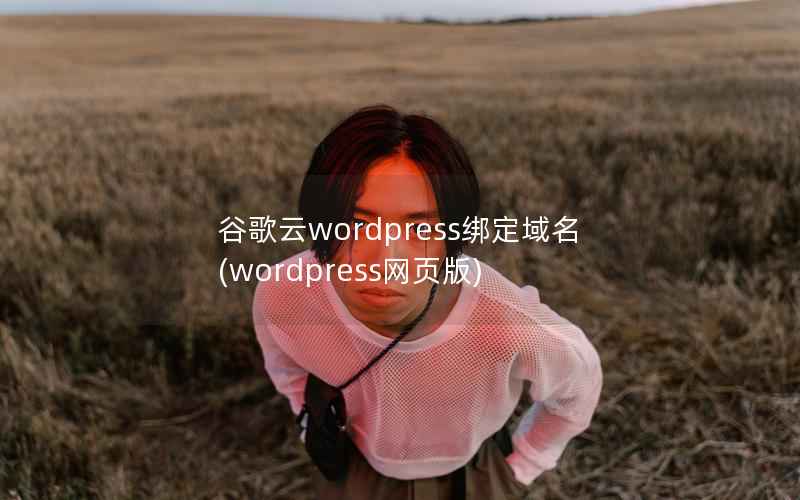 谷歌云wordpress绑定域名，wordpress网页版