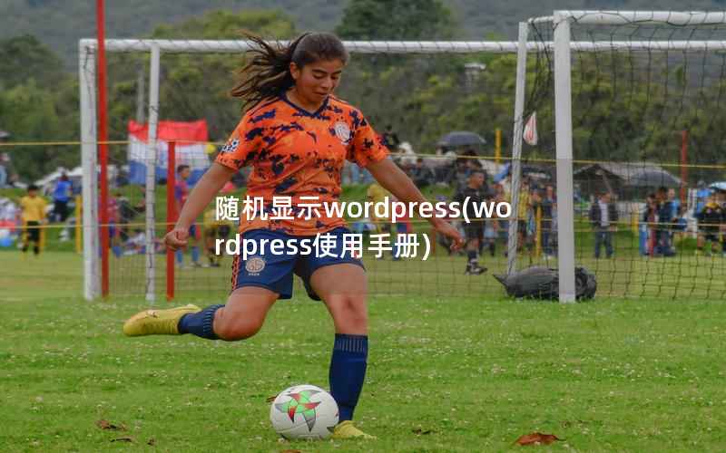 随机显示wordpress，wordpress使用手册