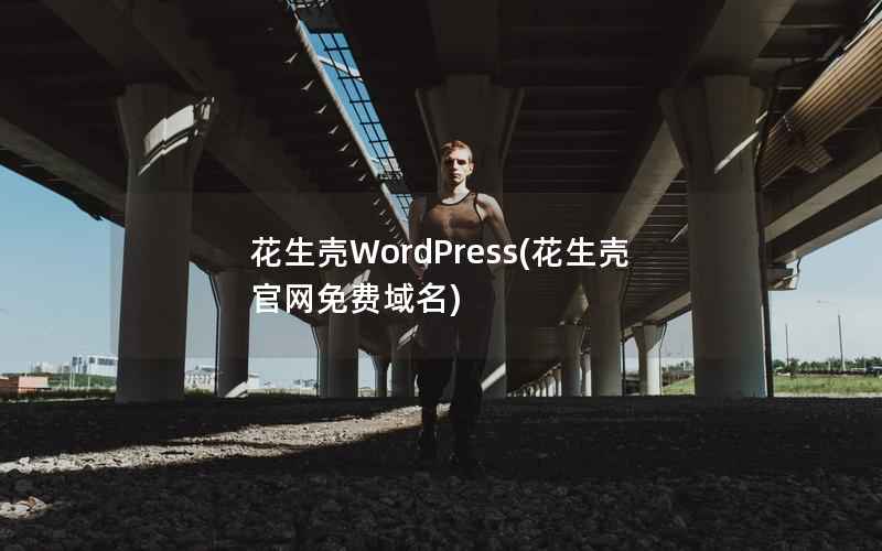 花生壳WordPress，花生壳官网免费域名