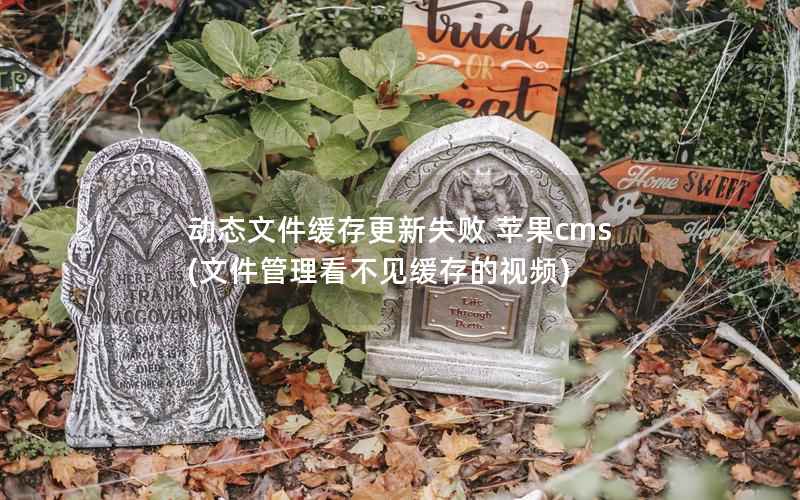 动态文件缓存更新失败 苹果CMS，文件管理看不见缓存的视频