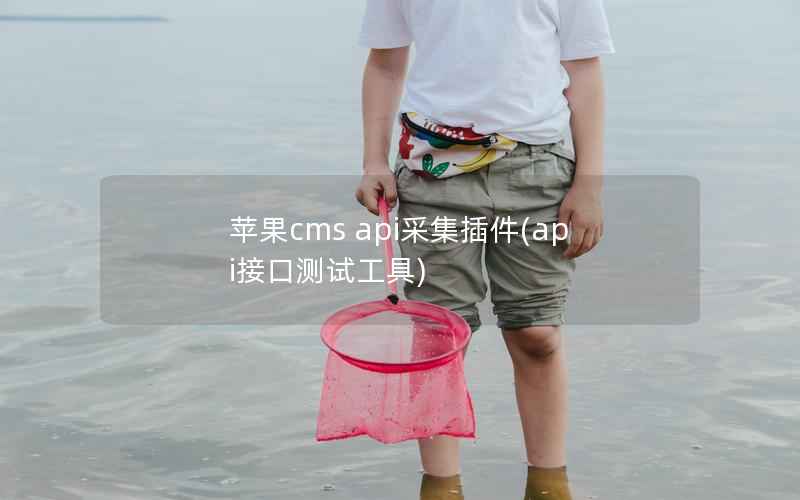苹果CMS api采集插件，api接口测试工具