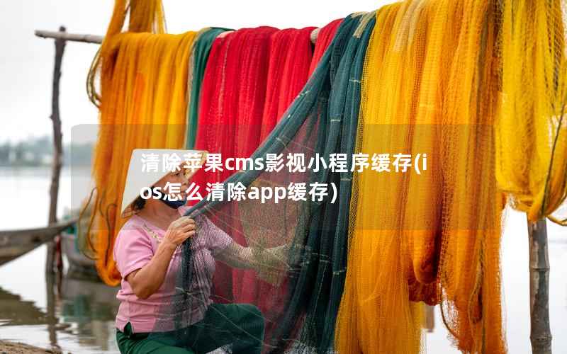 清除苹果CMS影视小程序缓存，ios怎么清除app缓存