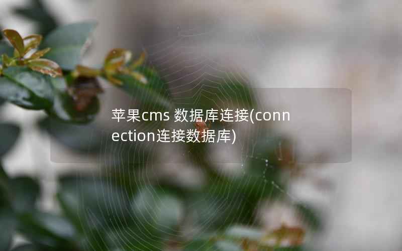 苹果CMS 数据库连接，connection连接数据库