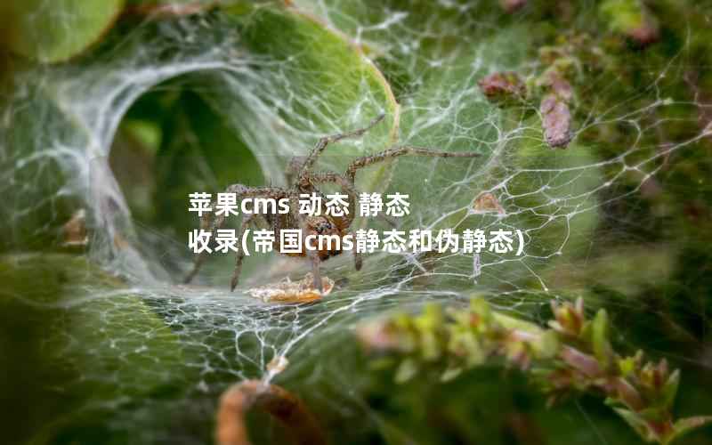 苹果CMS 动态 静态 收录，帝国CMS静态和伪静态