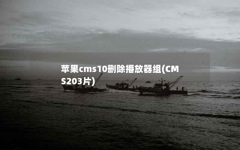 苹果CMS10删除播放器组，CMS203片