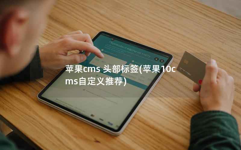 苹果CMS 头部标签，苹果10cms自定义推荐