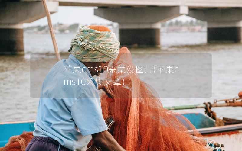 苹果cms10采集没图片，苹果cms10采集文章