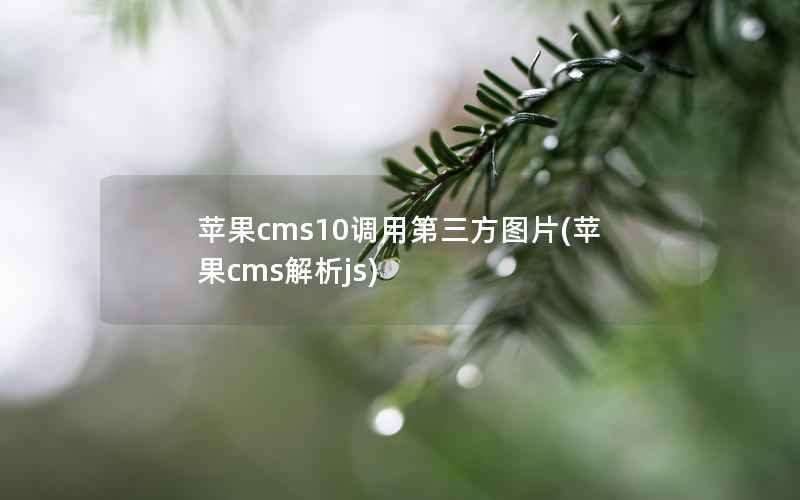 苹果CMS10调用第三方图片，苹果CMS解析js