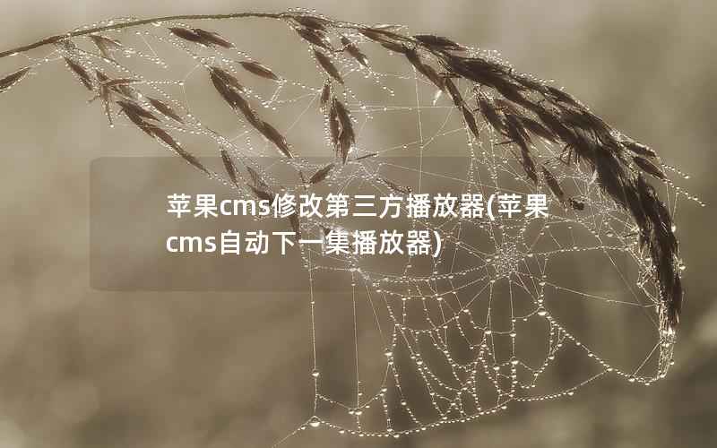 苹果CMS修改第三方播放器，苹果CMS自动下一集播放器