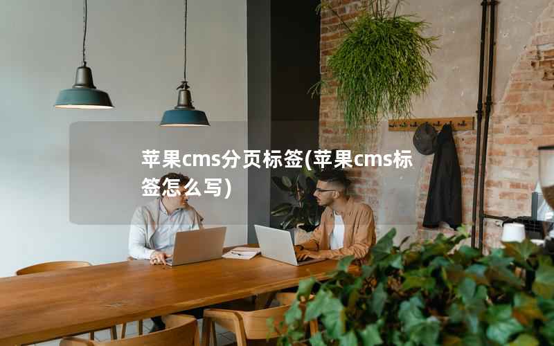 苹果cms分页标签，苹果cms标签怎么写