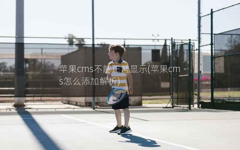 苹果CMS不能正常显示，苹果CMS怎么添加解析