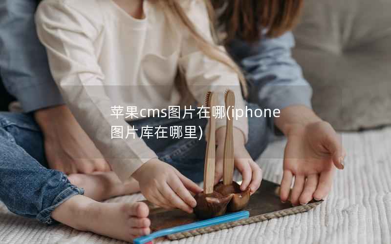 苹果CMS图片在哪，iphone图片库在哪里