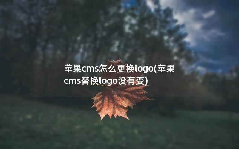 苹果CMS怎么更换logo，苹果CMS替换logo没有变