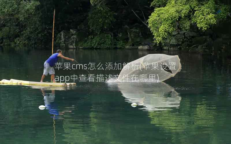 苹果CMS怎么添加解析，苹果设置app中查看描述文件在哪里