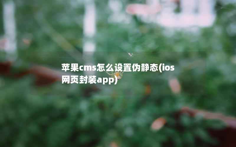 苹果CMS怎么设置伪静态，ios 网页封装app