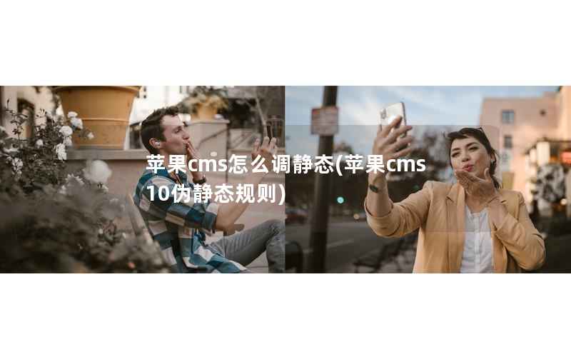 苹果CMS怎么调静态，苹果CMS10伪静态规则