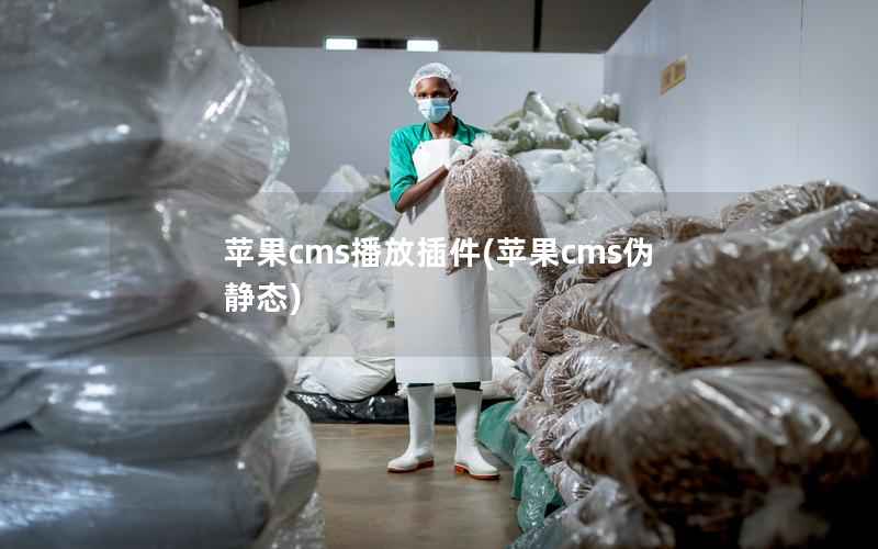 苹果cms播放插件，苹果cms伪静态