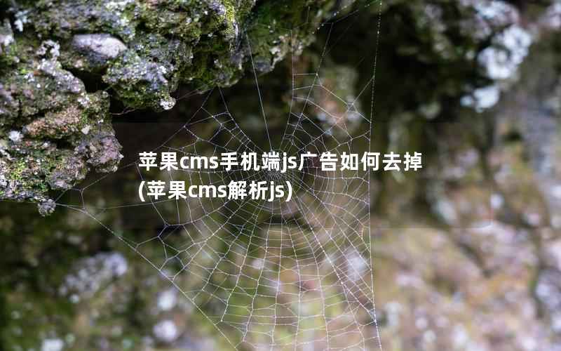 苹果CMS手机端js广告如何去掉，苹果CMS解析js