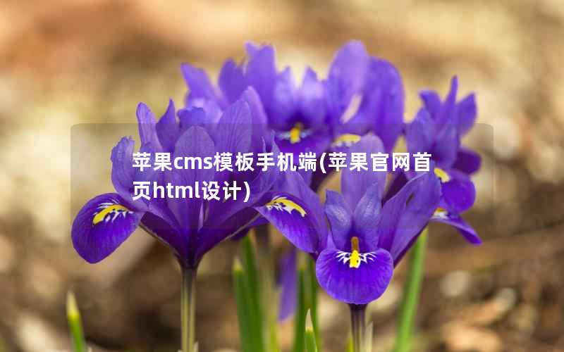 苹果CMS模板手机端，苹果官网首页html设计