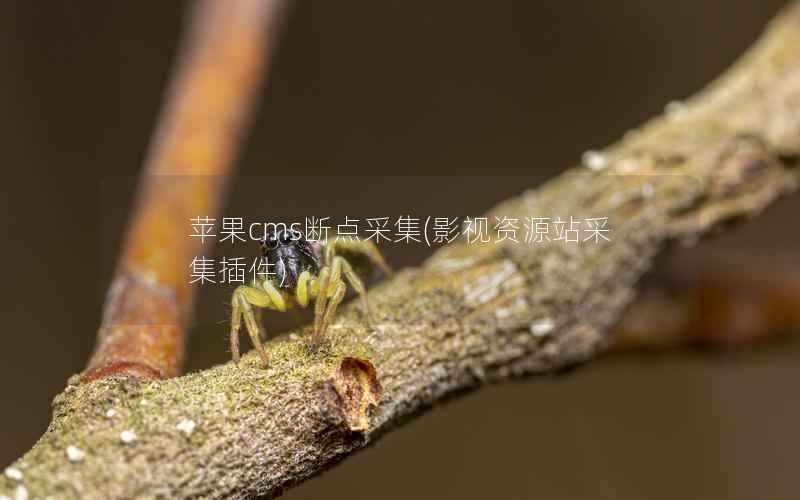 苹果CMS断点采集，影视资源站采集插件
