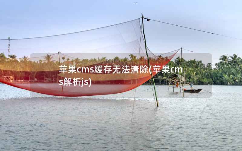 苹果CMS缓存无法清除，苹果CMS解析js