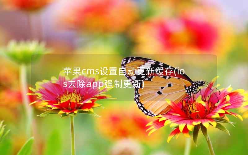 苹果CMS设置自动更新缓存，ios去除app强制更新