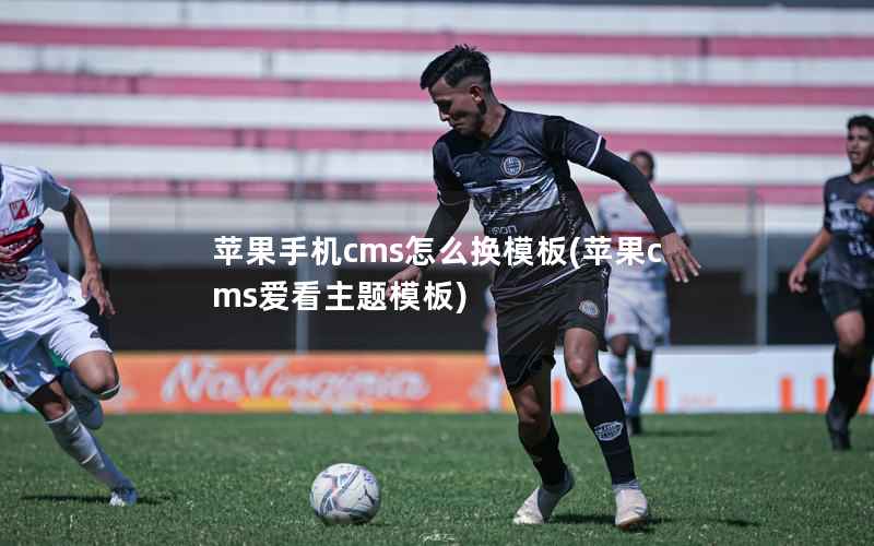 苹果手机cms怎么换模板，苹果cms爱看主题模板