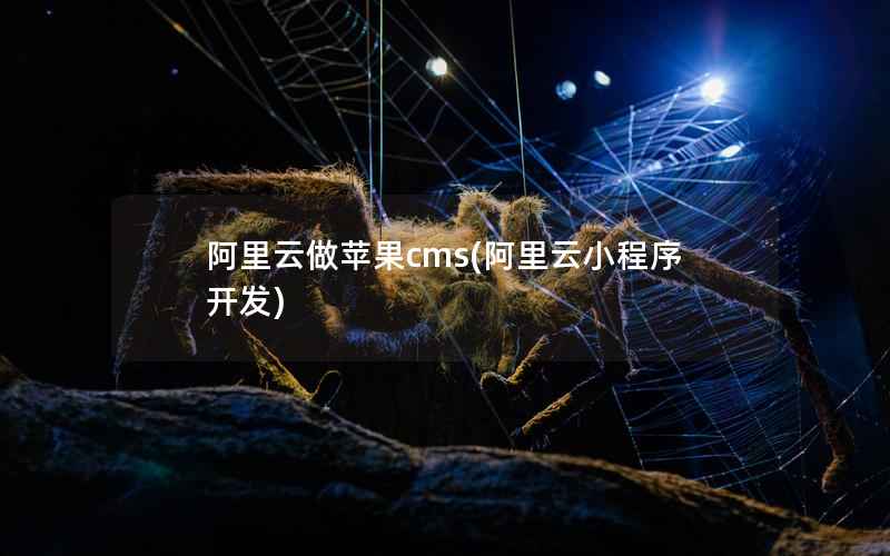 阿里云做苹果CMS，阿里云小程序开发