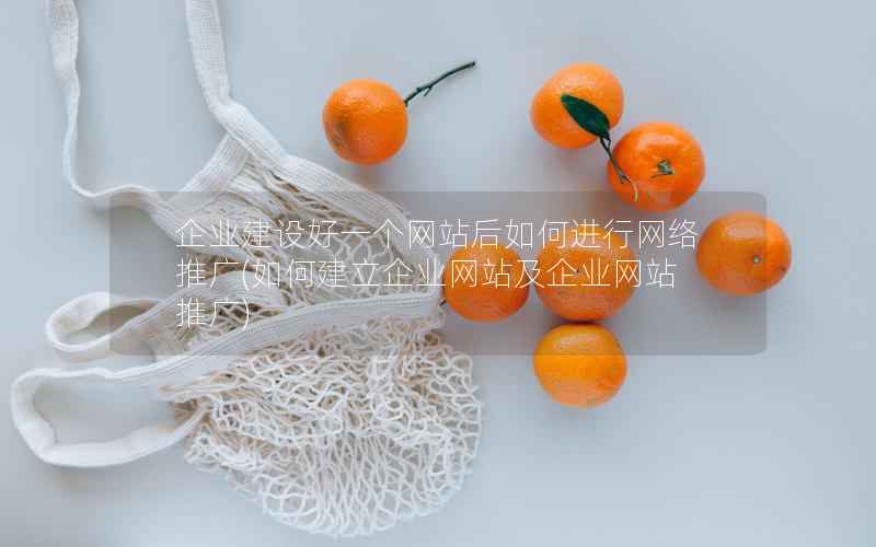 企业建设好一个网站后如何进行网络推广，如何建立企业网站及企业网站推广