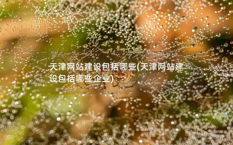 天津网站建设包括哪些，天津网站建设包括哪些企业
