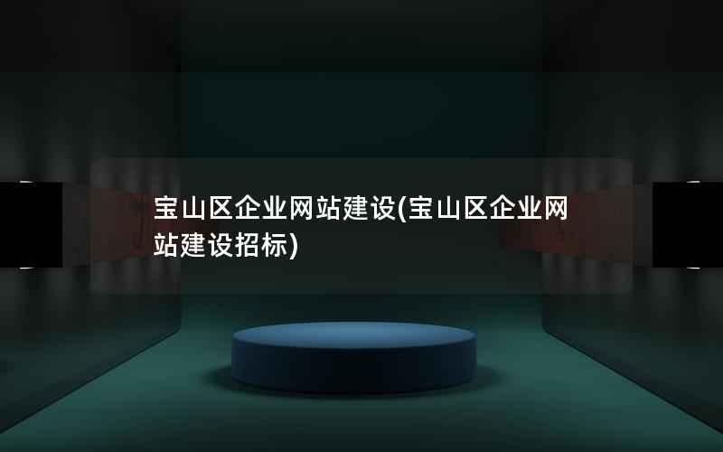 宝山区企业网站建设，宝山区企业网站建设招标