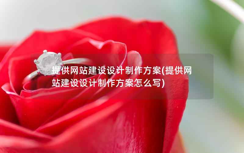 提供网站建设设计制作方案，提供网站建设设计制作方案怎么写