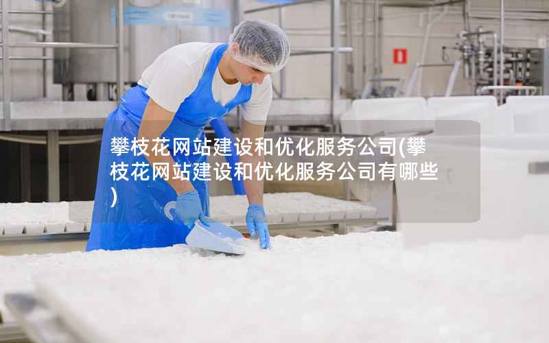 攀枝花网站建设和优化服务公司，攀枝花网站建设和优化服务公司有哪些