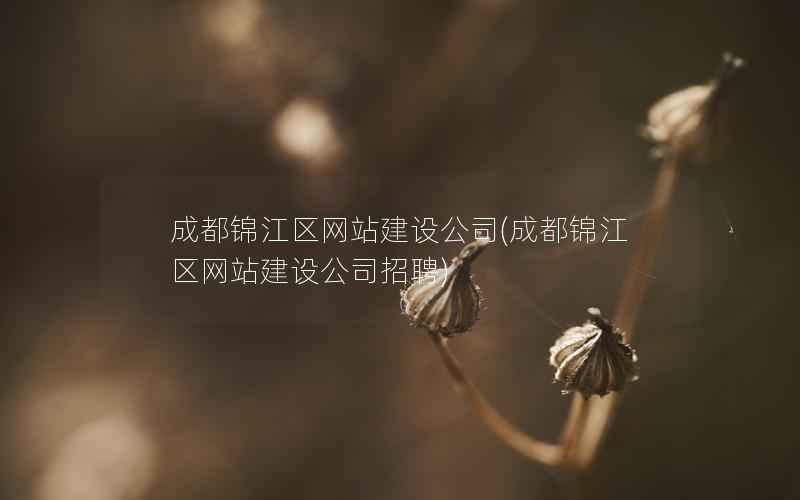 成都锦江区网站建设公司，成都锦江区网站建设公司招聘