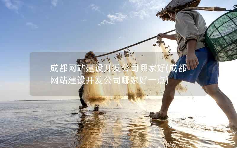 成都网站建设开发公司哪家好，成都网站建设开发公司哪家好一点