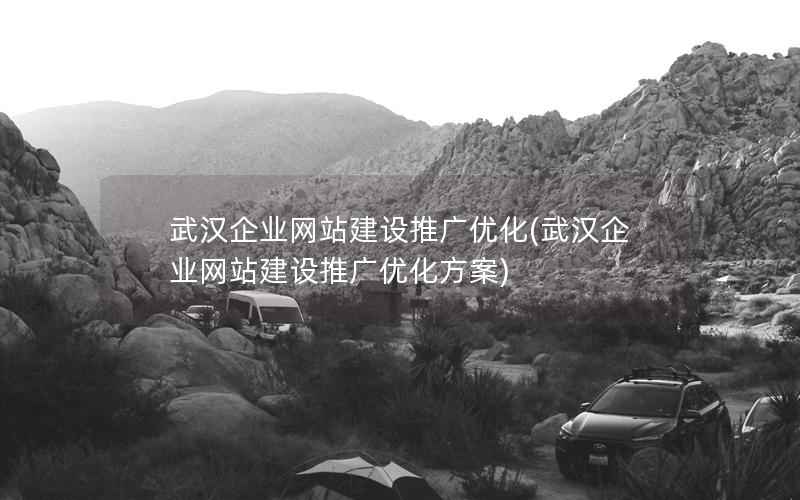 武汉企业网站建设推广优化，武汉企业网站建设推广优化方案