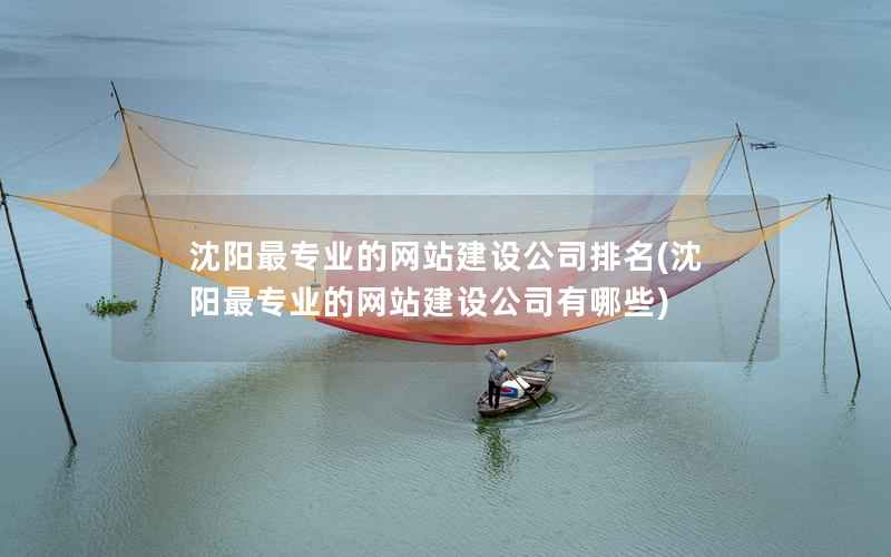 沈阳最专业的网站建设公司排名，沈阳最专业的网站建设公司有哪些