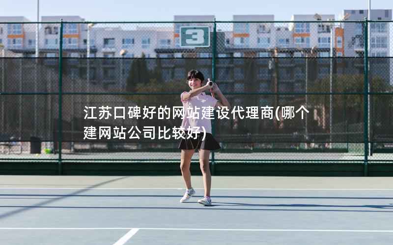 江苏口碑好的网站建设代理商，哪个建网站公司比较好