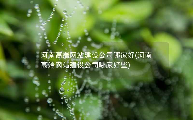 河南高端网站建设公司哪家好，河南高端网站建设公司哪家好些