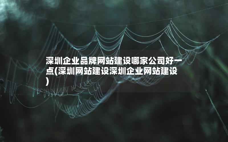 深圳企业品牌网站建设哪家公司好一点，深圳网站建设深圳企业网站建设