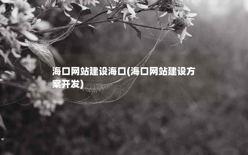 海口网站建设海口，海口网站建设方案开发