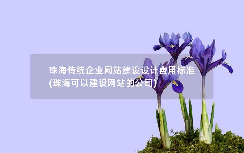 珠海传统企业网站建设设计费用标准，珠海可以建设网站的公司