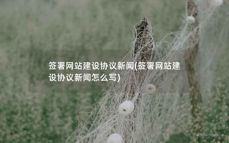 签署网站建设协议新闻，签署网站建设协议新闻怎么写