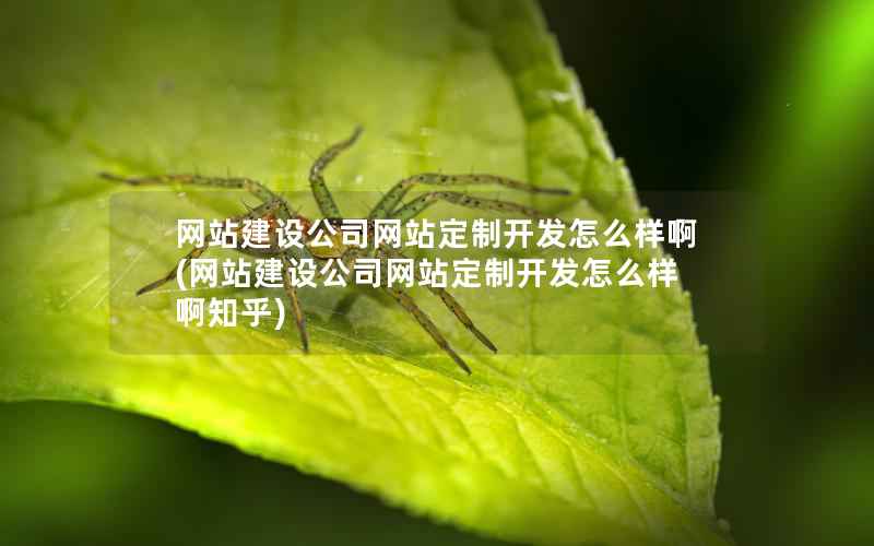 网站建设公司网站定制开发怎么样啊，网站建设公司网站定制开发怎么样啊知乎