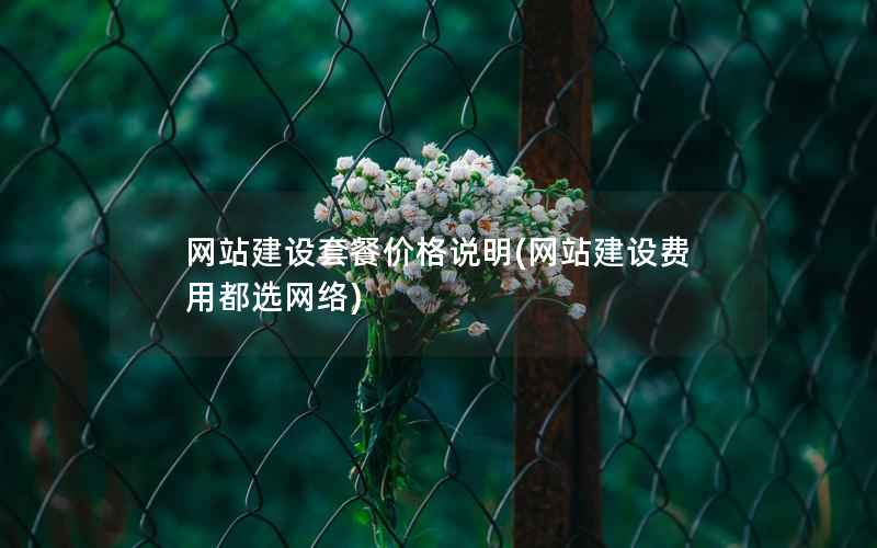 网站建设套餐价格说明，网站建设费用都选网络
