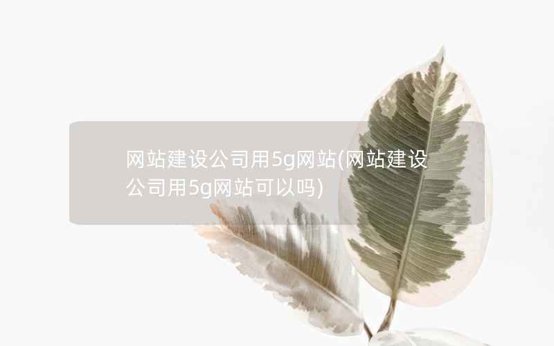 网站建设公司用5g网站，网站建设公司用5g网站可以吗