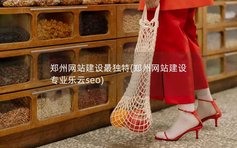 郑州网站建设最独特，郑州网站建设专业乐云seo