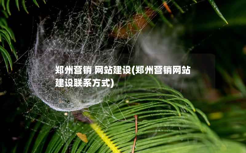 郑州营销 网站建设，郑州营销网站建设联系方式